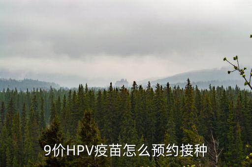 預(yù)約九價(jià)疫苗，打九價(jià)HPV疫苗得怎么預(yù)約