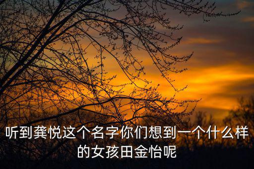 聽到龔悅這個名字你們想到一個什么樣的女孩田金怡呢