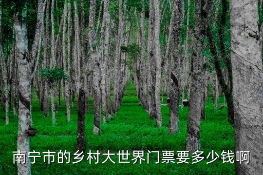 南寧鄉(xiāng)村大世界，南寧市的鄉(xiāng)村大世界門票要多少錢啊