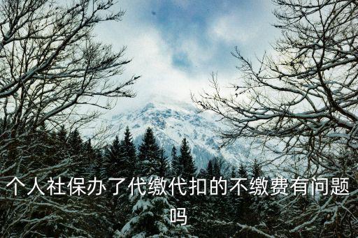 醫保代繳，社保代繳公司代繳的社保和公司給我們交的有區別嗎