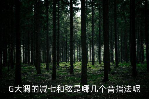 G大調(diào)的減七和弦是哪幾個音指法呢