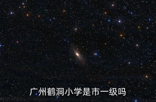 廣州鶴洞小學是市一級嗎