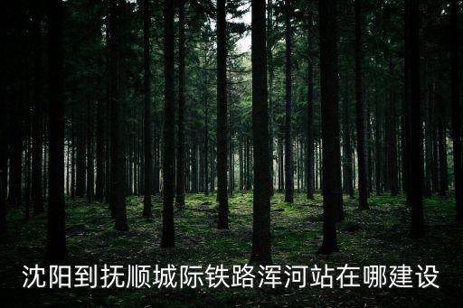 渾河站，沈陽坐324蘇家屯那趟哪站下是渾河站