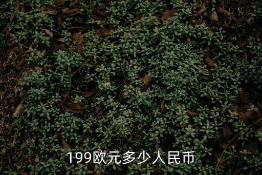 199歐元，199歐元兌換人民幣是多少