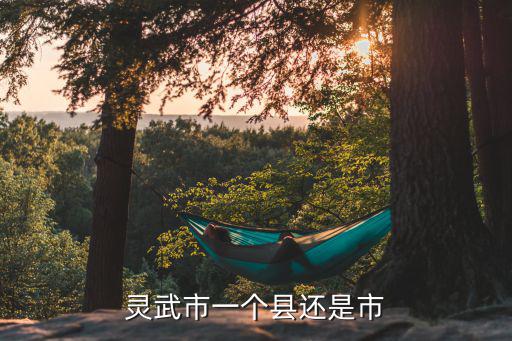 靈武市一個縣還是市