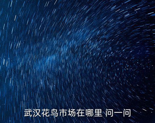 武漢花鳥市場在哪里 問一問