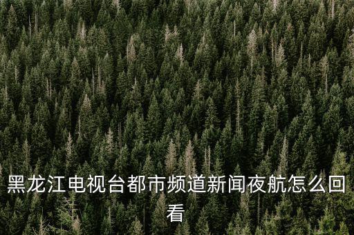 黑龍江電視臺都市頻道新聞夜航怎么回看