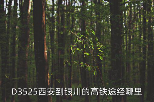 D3525西安到銀川的高鐵途經(jīng)哪里