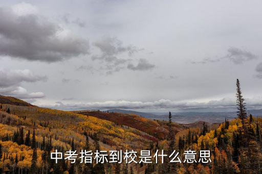 指標到校，指標到校是什么意思 是在那學區就分到哪學校嗎