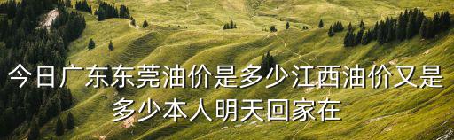 今日廣東油價(jià)，最新油價(jià)是多少93