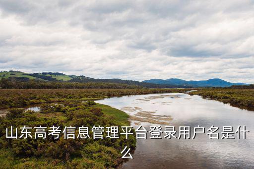 山東高考信息管理平臺(tái)登錄用戶(hù)名是什么