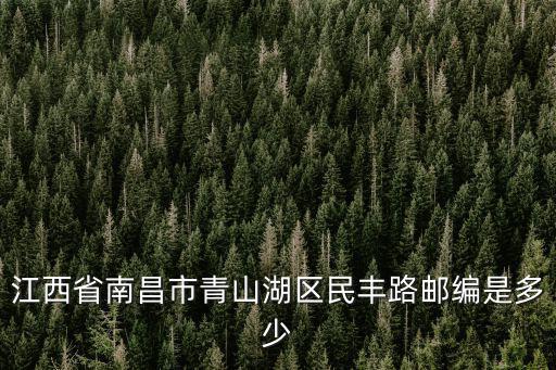 江西省南昌市青山湖區民豐路郵編是多少