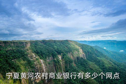 寧夏黃河農村商業銀行，寧夏黃河農村商業銀行有多少個網點