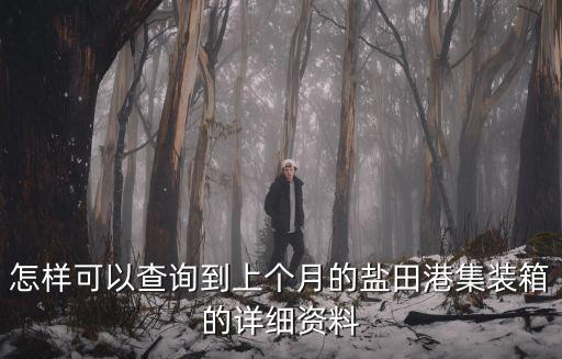 怎樣可以查詢到上個月的鹽田港集裝箱的詳細資料