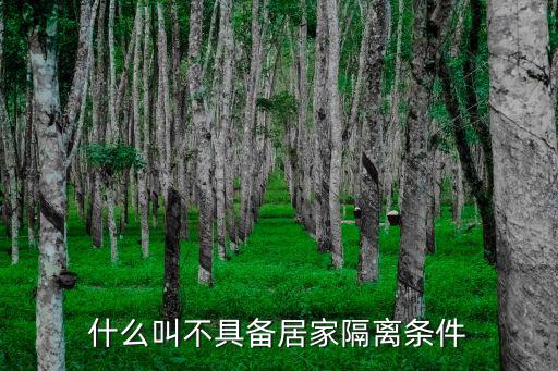 什么叫不具備居家隔離條件