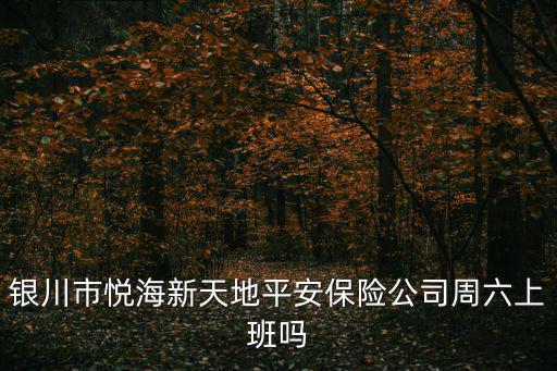 銀川市悅海新天地平安保險(xiǎn)公司周六上班嗎