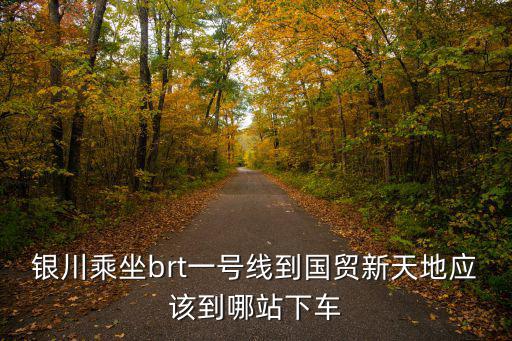 銀川乘坐brt一號線到國貿新天地應該到哪站下車