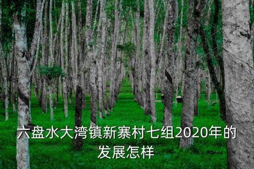 六盤水大灣鎮新寨村七組2020年的發展怎樣