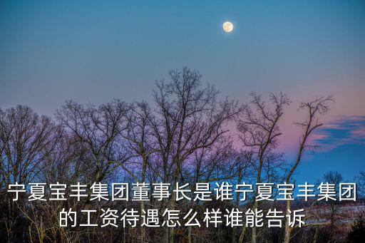 寧夏寶豐集團董事長是誰寧夏寶豐集團的工資待遇怎么樣誰能告訴
