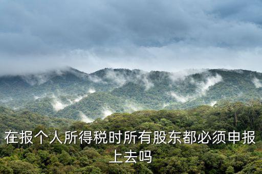 個人所得稅可以不申報嗎，在報個人所得稅時所有股東都必須申報上去嗎