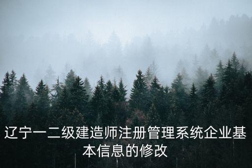 遼寧一二級建造師注冊管理系統企業基本信息的修改