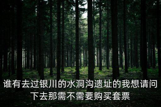 水洞溝遺址，水洞溝遺址西夏陵漓江寶頂山中哪個是廣西的旅游景區