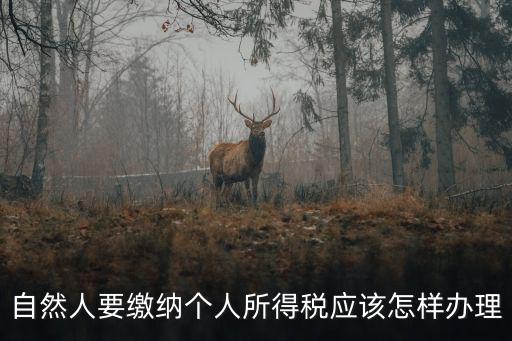 自然人要繳納個人所得稅應該怎樣辦理