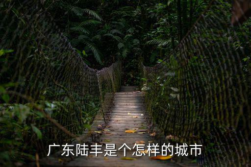 廣東陸豐是個怎樣的城市