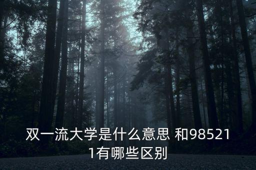 雙一流大學是什么意思 和985211有哪些區別