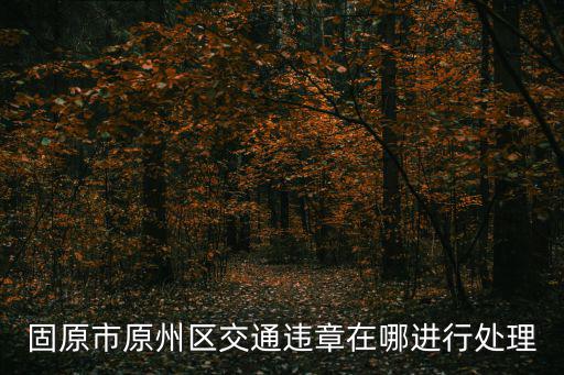 固原市原州區交通違章在哪進行處理