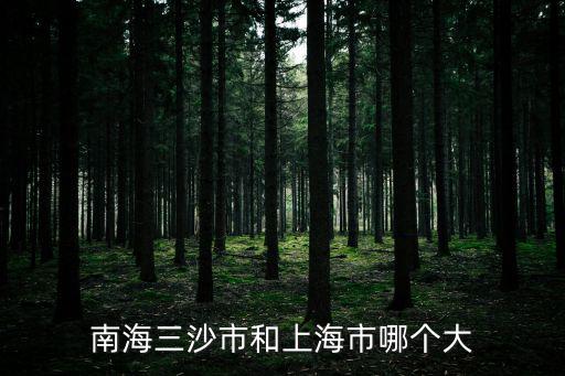 南海三沙市和上海市哪個大