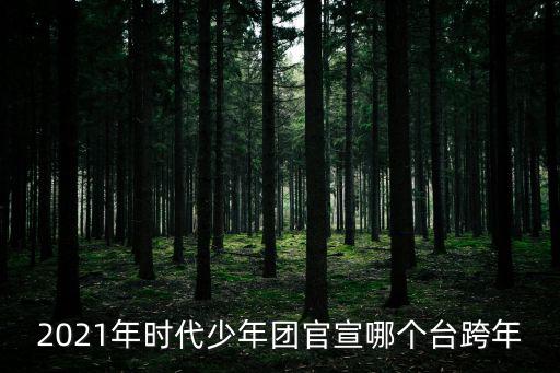脫口秀跨年2021，2021年時代少年團官宣哪個臺跨年