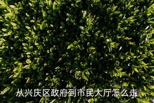 從興慶區政府到市民大廳怎么走