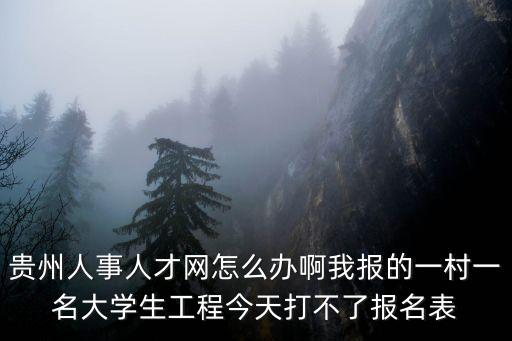 貴州人事人才網(wǎng)怎么辦啊我報(bào)的一村一名大學(xué)生工程今天打不了報(bào)名表