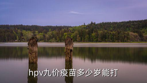 hpv九價(jià)疫苗多少歲能打