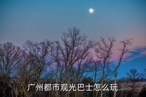 廣州都市觀光巴士怎么玩