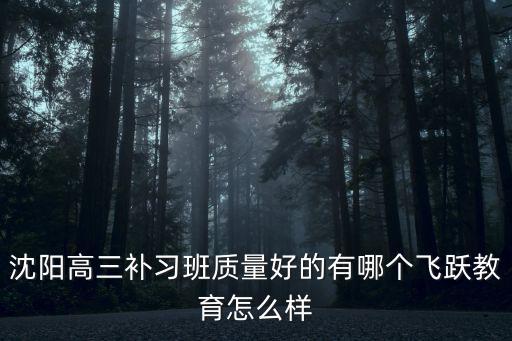 沈陽高三補習班質量好的有哪個飛躍教育怎么樣