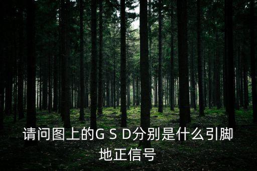 請問圖上的G S D分別是什么引腳地正信號