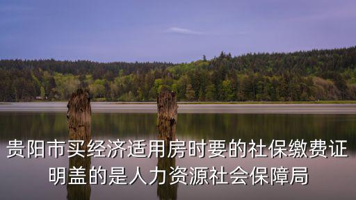貴陽市買經(jīng)濟(jì)適用房時(shí)要的社保繳費(fèi)證明蓋的是人力資源社會(huì)保障局