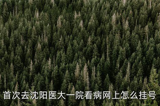 首次去沈陽醫大一院看病網上怎么掛號