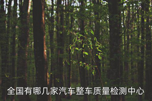 車輛檢測中心，汽車檢測站