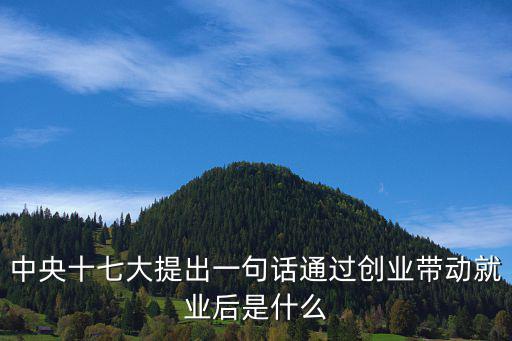 帶動(dòng)就業(yè)，中央十七大提出一句話通過創(chuàng)業(yè)帶動(dòng)就業(yè)后是什么