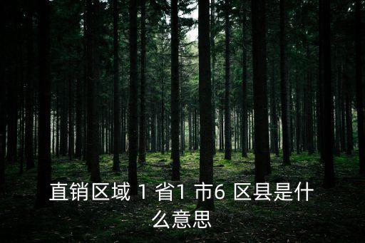 直銷區(qū)域 1 省1 市6 區(qū)縣是什么意思