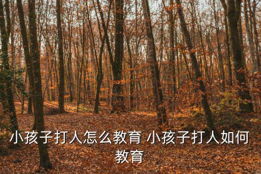 小孩子打人怎么教育 小孩子打人如何教育