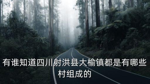 有誰知道四川射洪縣大榆鎮都是有哪些村組成的