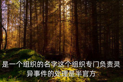 半官方，是一個組織的名字這個組織專門負責靈異事件的處理是半官方