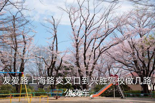 友愛路上海路交叉口到興勝駕校做幾路公交車