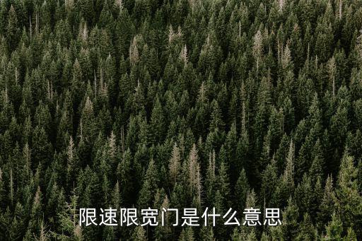 限速限寬門是什么意思