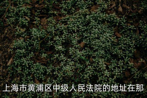 上海市黃浦區中級人民法院的地址在那