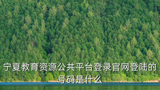 寧夏教育云平臺登錄入口，百事通教育平臺登錄